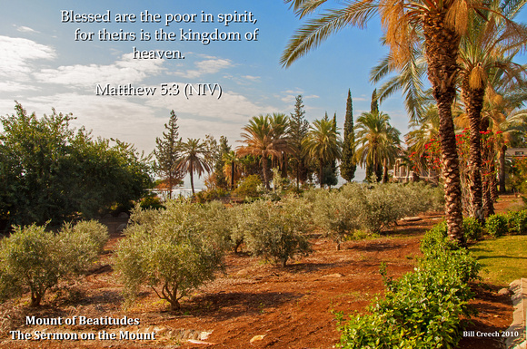 DSC_2584 Mount of Beatitudes Olive Palm Trees Matt 5-3