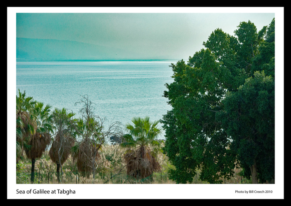 DSC_2771 Sea of Galilee at Tabgha