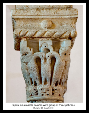 DSC_2074 Capital on a marble column w group of three pelicans
