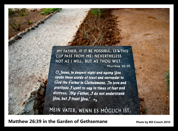 DSC_2141 Matthew 26-39 in Garden of Gethsemane