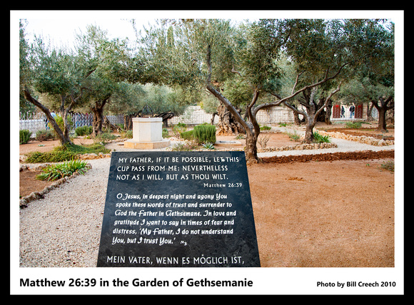 DSC_2141-42 Matthew 26-39 in Garden of Gethsemane