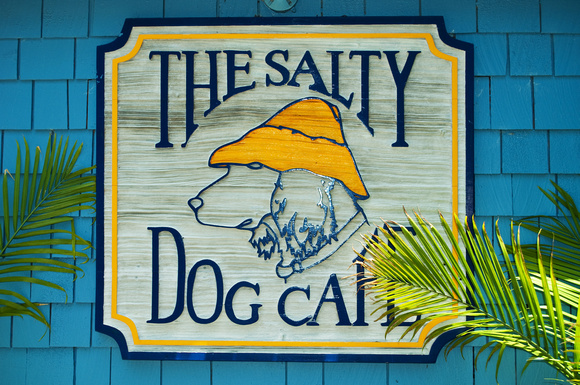 DSC_0881pse Salty Dog Cafe HHI 07-21-10